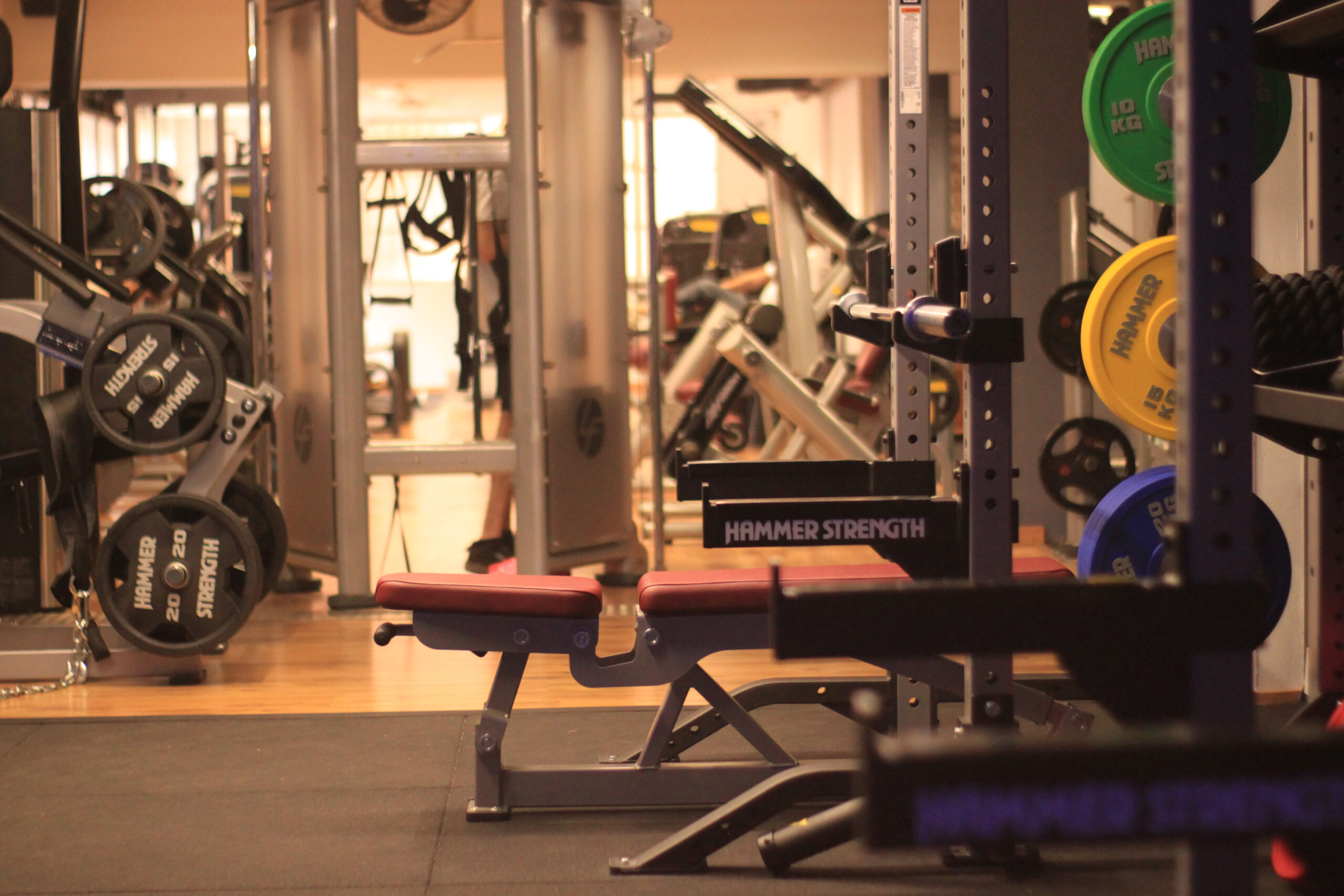 Actualment esteu veient Eleva el teu entrenament: Fitsport s’equipa amb Technogym